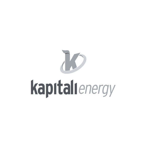 Kapitali energy soluções em fones de energia renováveis - cliente Zellgo